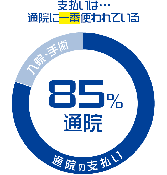 ペット保険の支払い実績の85%は通院