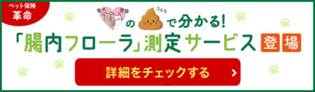 愛犬・愛猫のうんちで分かる！「腸内フローラ」測定サービス登場　詳細をチェックする