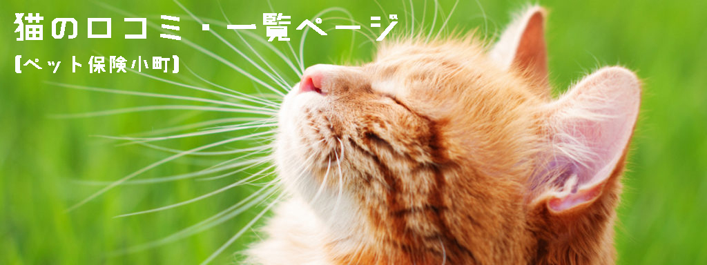 ペット保険・猫の口コミ