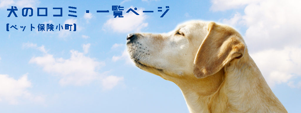 ペット保険・犬の口コミ一覧