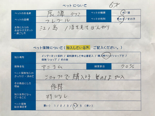 辰海ちゃん、口コミ回答用紙