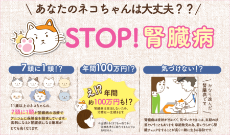 あなたのネコちゃんは大丈夫？？　STOP！腎臓病
