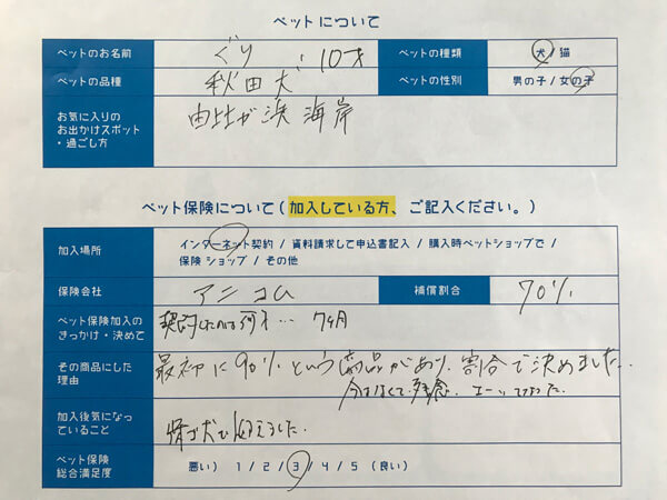 秋田犬、ぐりちゃんの口コミ回答用紙