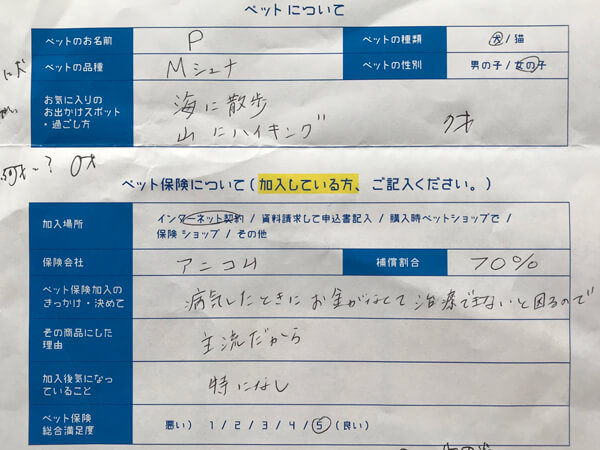 Mシュナウザー、Pちゃんの口コミアンケート回答用紙