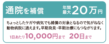 通院を補償　年間最大20万円