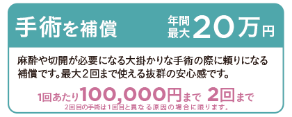 手術を補償　年間最大20万円