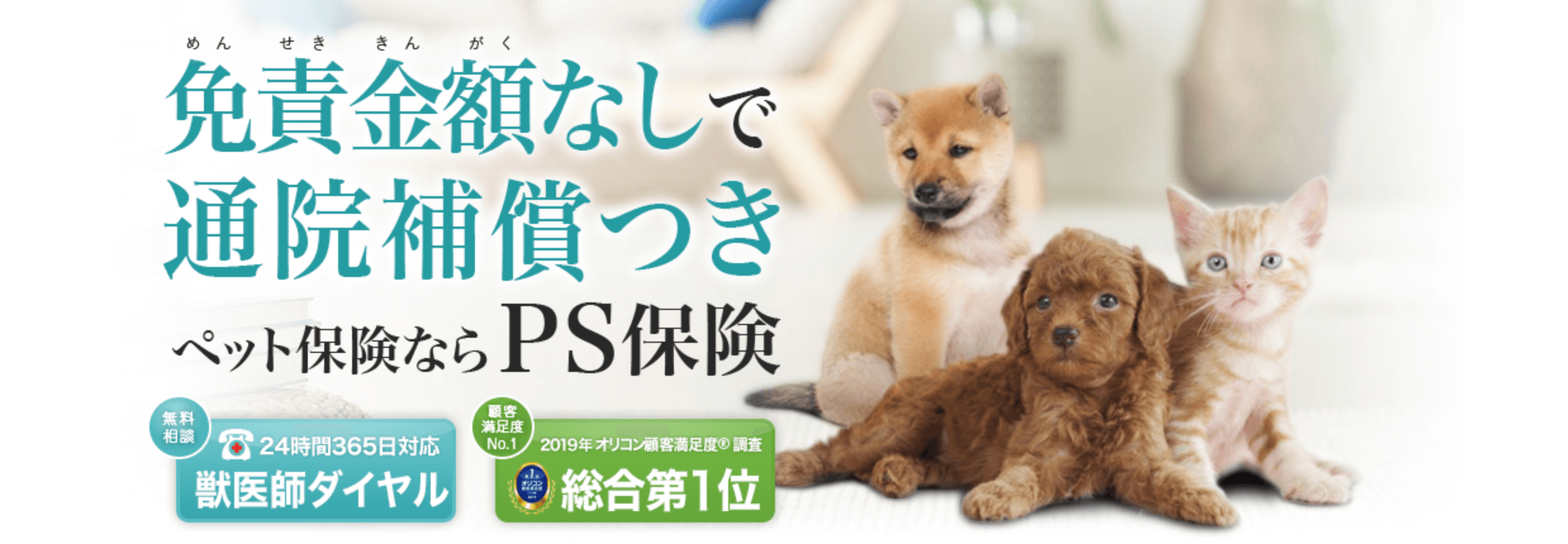 PS保険は免責金額なしで通院補償つき