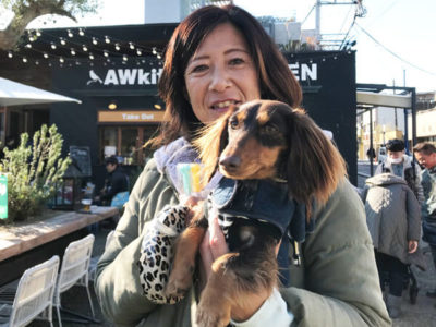 ミニチュアダックス、1歳、アネラちゃん