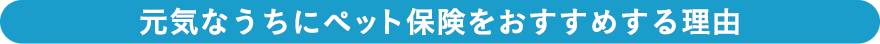 元気なうちにペット保険をおすすめする理由