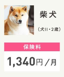 トイプードル (犬Ⅱ / 2歳)保険料1,340円/月