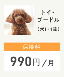 トイプードル (犬I / 1歳)保険料990円/月