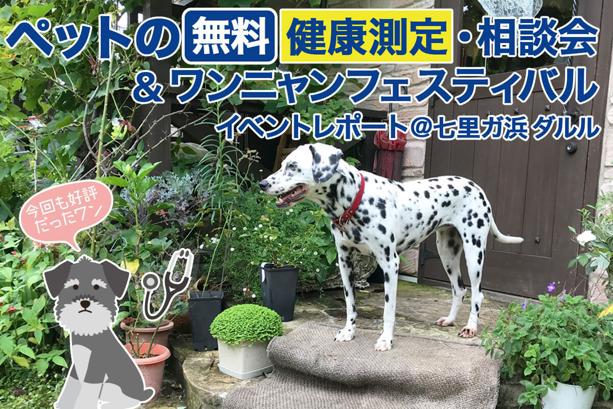 ペットの無料健康測定・相談会＆ワンニャンフェスティバル　イベントレポート　@七里ガ浜ダルル