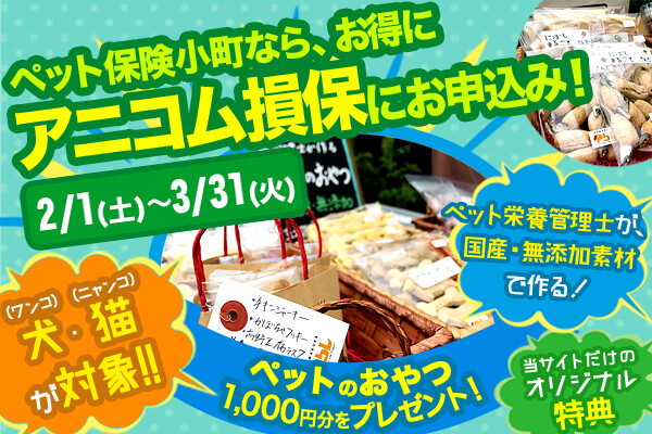 ペット保険小町なら、お得にアニコム損保にお申込み！ペットのおやつ、1,000円分をプレゼント！